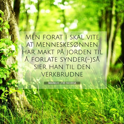 Picture 07 - Markus 2:10 NORSK - Men forat I skal vite at Menneskesønnen har makt - Bible Verse Picture