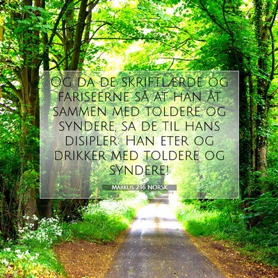 Picture 07 - Markus 2:16 NORSK - Og da de skriftlærde og fariseerne så at han - Bible Verse Picture