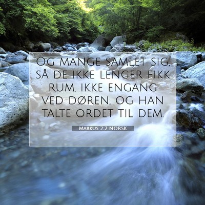 Picture 07 - Markus 2:2 NORSK - Og mange samlet sig, så de ikke lenger fikk rum, - Bible Verse Picture