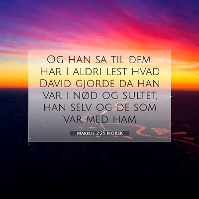 Picture 07 - Markus 2:25 NORSK - Og han sa til dem: Har I aldri lest hvad David - Bible Verse Picture