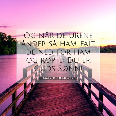 Picture 07 - Markus 3:11 NORSK - Og når de urene ånder så ham, falt de ned for - Bible Verse Picture
