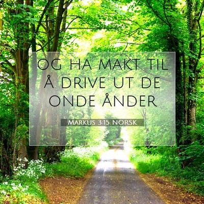 Picture 07 - Markus 3:15 NORSK - og ha makt til å drive ut de onde - Bible Verse Picture