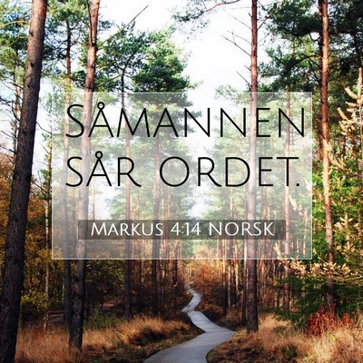 Picture 07 - Markus 4:14 NORSK - Såmannen sår - Bible Verse Picture