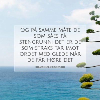 Picture 07 - Markus 4:16 NORSK - Og på samme måte de som såes på stengrunn; - Bible Verse Picture