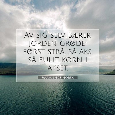 Picture 07 - Markus 4:28 NORSK - Av sig selv bærer jorden grøde: først strå, - Bible Verse Picture