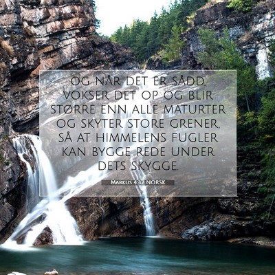 Picture 07 - Markus 4:32 NORSK - og når det er sådd, vokser det op og blir - Bible Verse Picture