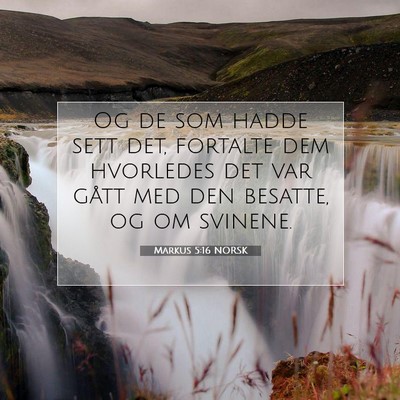 Picture 07 - Markus 5:16 NORSK - Og de som hadde sett det, fortalte dem hvorledes - Bible Verse Picture