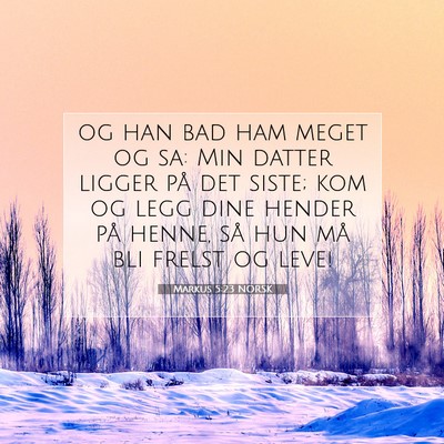 Picture 07 - Markus 5:23 NORSK - og han bad ham meget og sa: Min datter ligger på - Bible Verse Picture