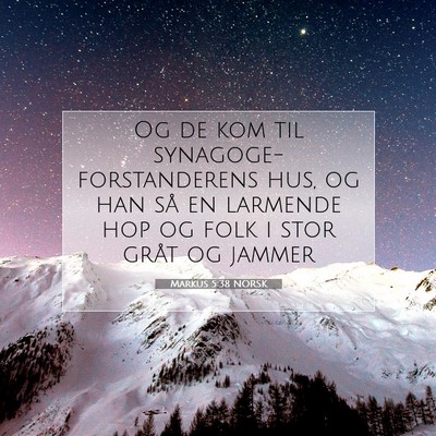 Picture 07 - Markus 5:38 NORSK - Og de kom til synagoge-forstanderens hus, og han - Bible Verse Picture