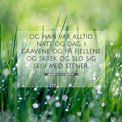 Picture 07 - Markus 5:5 NORSK - og han var alltid, natt og dag, i gravene og på - Bible Verse Picture