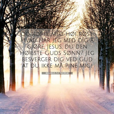 Picture 07 - Markus 5:7 NORSK - og ropte med høi røst: Hvad har jeg med dig å - Bible Verse Picture