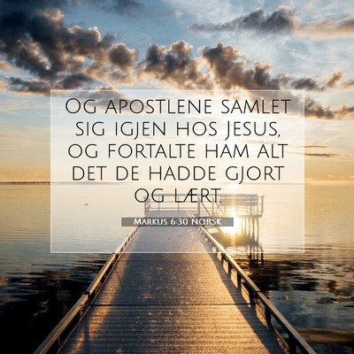 Picture 07 - Markus 6:30 NORSK - Og apostlene samlet sig igjen hos Jesus, og - Bible Verse Picture