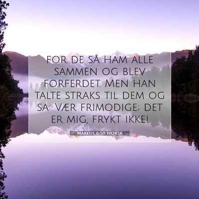 Picture 07 - Markus 6:50 NORSK - for de så ham alle sammen og blev forferdet. Men - Bible Verse Picture