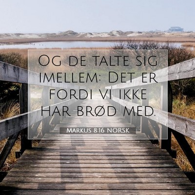 Picture 07 - Markus 8:16 NORSK - Og de talte sig imellem: Det er fordi vi ikke har - Bible Verse Picture