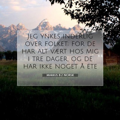 Picture 07 - Markus 8:2 NORSK - Jeg ynkes inderlig over folket; for de har alt - Bible Verse Picture