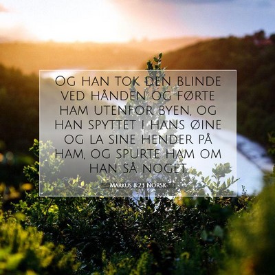 Picture 07 - Markus 8:23 NORSK - Og han tok den blinde ved hånden og førte ham - Bible Verse Picture