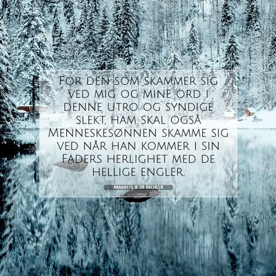 Picture 07 - Markus 8:38 NORSK - For den som skammer sig ved mig og mine ord i - Bible Verse Picture
