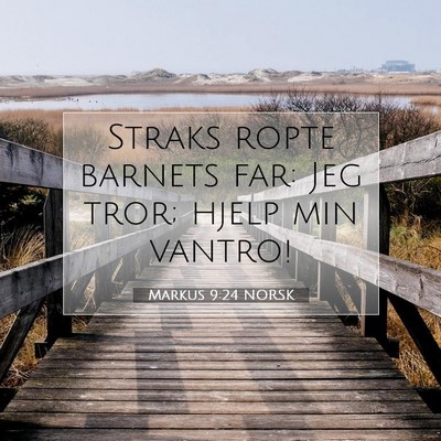 Picture 07 - Markus 9:24 NORSK - Straks ropte barnets far: Jeg tror; hjelp min - Bible Verse Picture