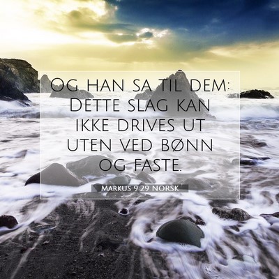 Picture 07 - Markus 9:29 NORSK - Og han sa til dem: Dette slag kan ikke drives ut - Bible Verse Picture