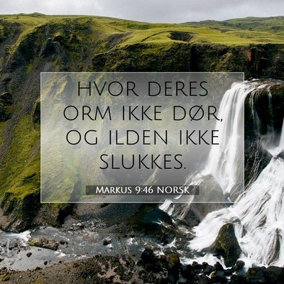 Picture 07 - Markus 9:46 NORSK - hvor deres orm ikke dør, og ilden ikke - Bible Verse Picture