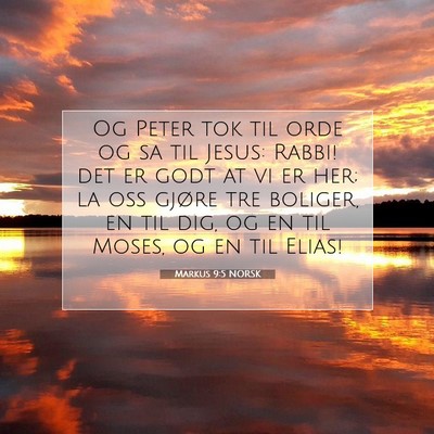 Picture 07 - Markus 9:5 NORSK - Og Peter tok til orde og sa til Jesus: Rabbi! det - Bible Verse Picture