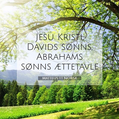 Picture 07 - Matteus 1:1 NORSK - Jesu Kristi, Davids sønns, Abrahams sønns - Bible Verse Picture