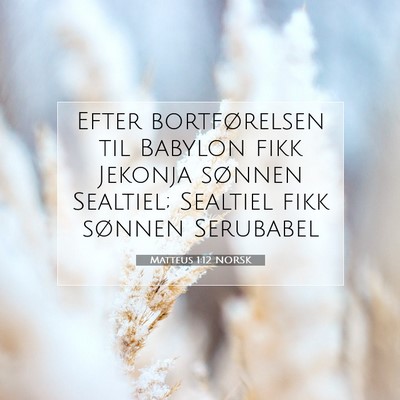 Picture 07 - Matteus 1:12 NORSK - Efter bortførelsen til Babylon fikk Jekonja - Bible Verse Picture