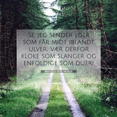 Picture 07 - Matteus 10:16 NORSK - Se, jeg sender eder som får midt iblandt ulver; - Bible Verse Picture