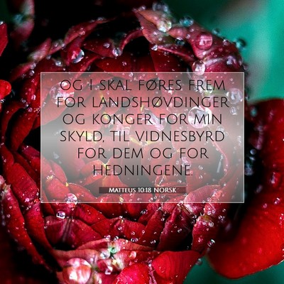 Picture 07 - Matteus 10:18 NORSK - og I skal føres frem for landshøvdinger og - Bible Verse Picture