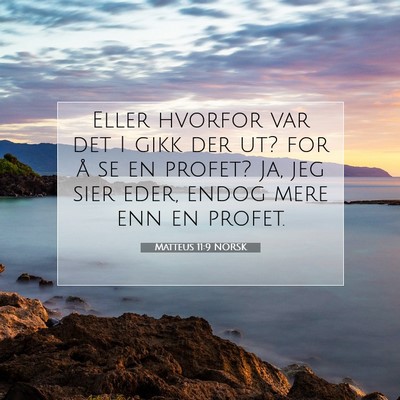 Picture 07 - Matteus 11:9 NORSK - Eller hvorfor var det I gikk der ut? for å se en - Bible Verse Picture