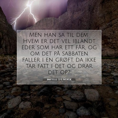 Picture 07 - Matteus 12:11 NORSK - Men han sa til dem: Hvem er det vel iblandt eder - Bible Verse Picture