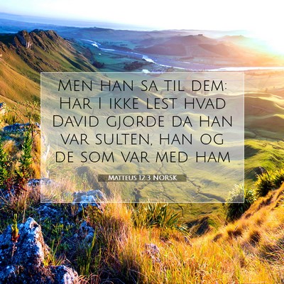 Picture 07 - Matteus 12:3 NORSK - Men han sa til dem: Har I ikke lest hvad David - Bible Verse Picture