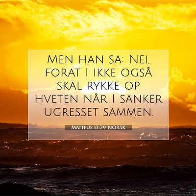Picture 07 - Matteus 13:29 NORSK - Men han sa: Nei, forat I ikke også skal rykke op - Bible Verse Picture