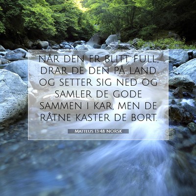 Picture 07 - Matteus 13:48 NORSK - når den er blitt full, drar de den på land og - Bible Verse Picture