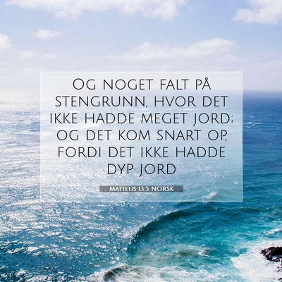 Picture 07 - Matteus 13:5 NORSK - Og noget falt på stengrunn, hvor det ikke hadde - Bible Verse Picture