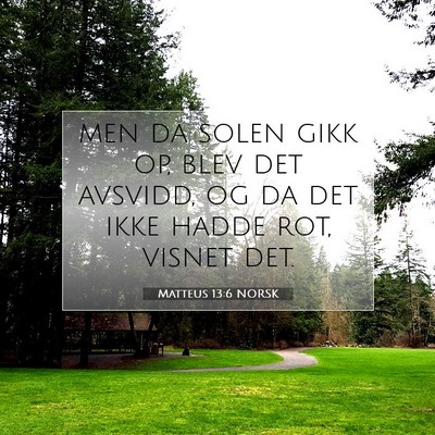 Picture 07 - Matteus 13:6 NORSK - men da solen gikk op, blev det avsvidd, og da det - Bible Verse Picture