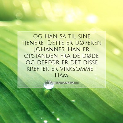 Picture 07 - Matteus 14:2 NORSK - og han sa til sine tjenere: Dette er døperen - Bible Verse Picture