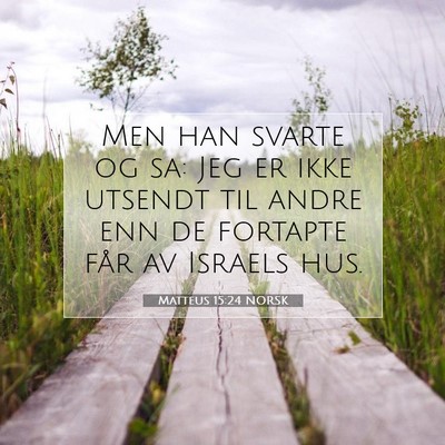 Picture 07 - Matteus 15:24 NORSK - Men han svarte og sa: Jeg er ikke utsendt til - Bible Verse Picture