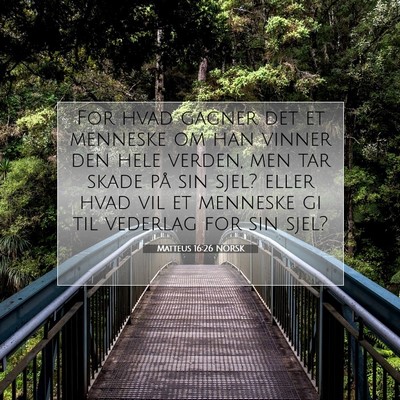 Picture 07 - Matteus 16:26 NORSK - For hvad gagner det et menneske om han vinner den - Bible Verse Picture