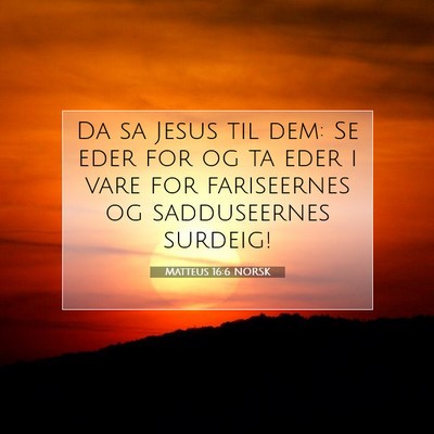 Picture 07 - Matteus 16:6 NORSK - Da sa Jesus til dem: Se eder for og ta eder i - Bible Verse Picture