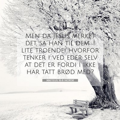 Picture 07 - Matteus 16:8 NORSK - Men da Jesus merket det, sa han til dem: I lite - Bible Verse Picture