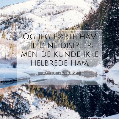 Picture 07 - Matteus 17:16 NORSK - Og jeg førte ham til dine disipler; men de kunde - Bible Verse Picture