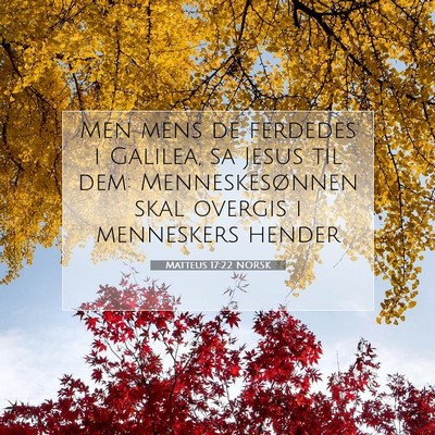 Picture 07 - Matteus 17:22 NORSK - Men mens de ferdedes i Galilea, sa Jesus til dem: - Bible Verse Picture