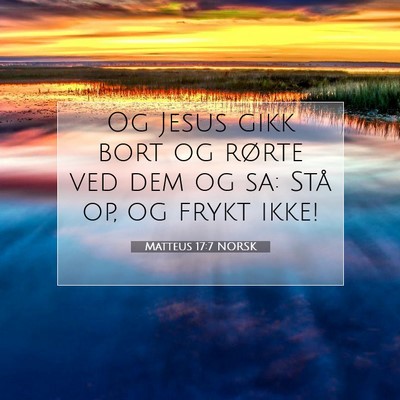 Picture 07 - Matteus 17:7 NORSK - Og Jesus gikk bort og rørte ved dem og sa: Stå - Bible Verse Picture