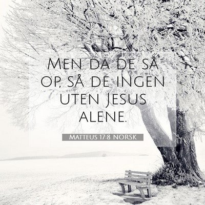 Picture 07 - Matteus 17:8 NORSK - Men da de så op, så de ingen uten Jesus - Bible Verse Picture