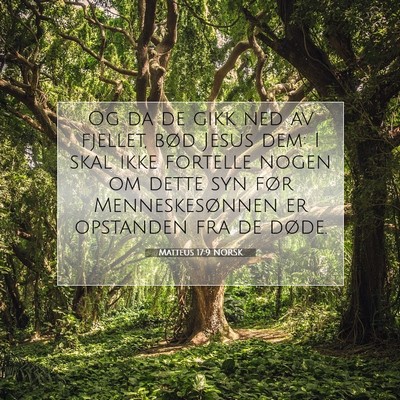 Picture 07 - Matteus 17:9 NORSK - Og da de gikk ned av fjellet, bød Jesus dem: I - Bible Verse Picture