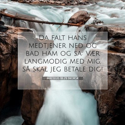 Picture 07 - Matteus 18:29 NORSK - Da falt hans medtjener ned og bad ham og sa: Vær - Bible Verse Picture