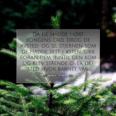 Picture 07 - Matteus 2:9 NORSK - Da de hadde hørt kongens ord, drog de avsted; og - Bible Verse Picture