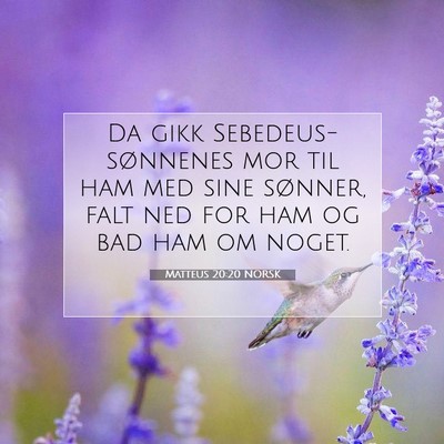 Picture 07 - Matteus 20:20 NORSK - Da gikk Sebedeus-sønnenes mor til ham med sine - Bible Verse Picture