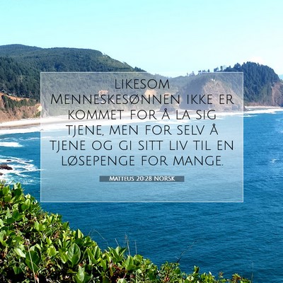 Picture 07 - Matteus 20:28 NORSK - likesom Menneskesønnen ikke er kommet for å la - Bible Verse Picture